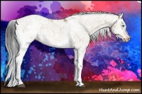 Horse Color:Bay Dun Sabino Splash Rabicano 