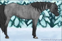Horse Color:Blue Roan 
