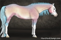 Horse Color:Watercolor Buckskin Onyx Sabino Splash Rabicano 