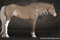 Horse Color:Silver Grullo Sabino 