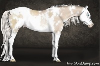 Horse Color:White Spotted Chocolate Palomino Pearl Splash Rabicano