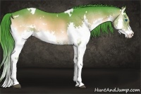 Horse Color:Watercolor White Spotted Liver Red Onyx Splash