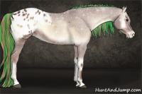 Horse Color:Painted Red Onyx Appaloosa 