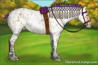 Horse Color:Amber Cream Champagne Leopard  and Buckskin Near Fewspot 