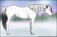 Horse Color:Black Splash Tobiano Blanket 