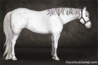 Horse Color:Nacre White Spotted Liver Chestnut 