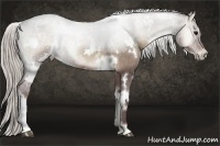 Horse Color:White Spotted Chocolate Silver Smoky Blue Onyx