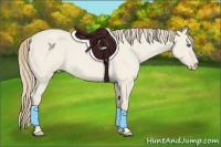 Horse Color:Smoky Creme Roan Dun 