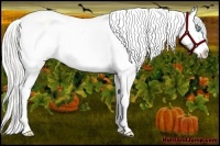 Horse Color:Cremello Dun Varnish 