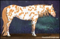 Horse Color:Watercolor Liver Chestnut Near Leopard 