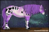 Horse Color:Watercolor White Spotted Buckskin Onyx Blanket 