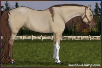 Horse Color:Liver Red Dun