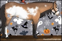 Horse Color:Buckskin Frame