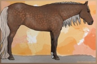 Horse Color:Silver Bay 