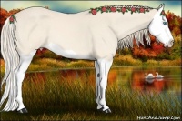 Horse Color:Perlino Splash