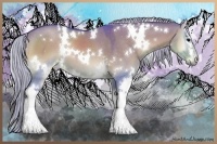 Horse Color:Watercolor White Spotted Silver Grullo Onyx 