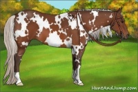 Horse Color:White Spotted Silver Bay 