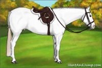 Horse Color:Buckskin Snowcap 