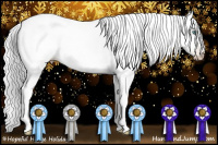 Horse Color:Gray Smoky Blue Roan Pearl 