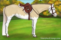 Horse Color:Palomino Dun Splash 
