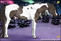 Horse Color:Liver Chestnut Tobiano Rabicano