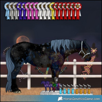 Horse Color:ERROR: UNKNOWN ANOMALY