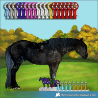 Horse Color:ERROR: UNKNOWN ANOMALY