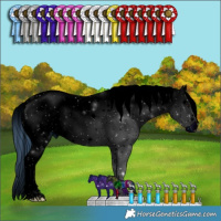 Horse Color:ERROR: UNKNOWN ANOMALY