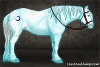 Horse Color:Thunderstruck Buckskin Pearl Splash Varnish