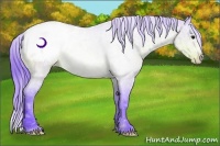 Horse Color:Watercolor Buckskin Ice Snowcap Rabicano 