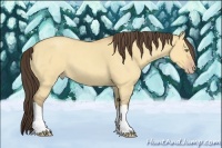 Horse Color:Amber Champagne Roan Dun 