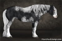 Horse Color:White Spotted Silver Black Chinchilla Ice Sabino Splash 