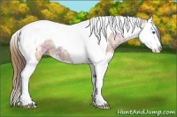 Horse Color:Plaid  Bay Ice Sabino Splash Tobiano Appaloosa 