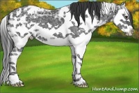 Horse Color:White Spotted Black Ice Splash 