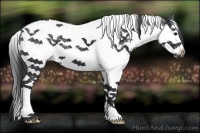 Horse Color:White Spotted Black Ice Splash Tobiano 