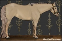 Horse Color:Chocolate Palomino Dun 