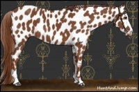 Horse Color:Chestnut Sabino Leopard 