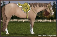 Horse Color:Black Pearl Sabino