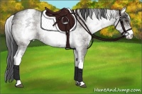 Horse Color:White Spotted Grullo Roan