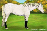 Horse Color:Painted Palomino Ice Pearl 