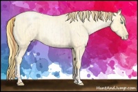 Horse Color:Buckskin Roan Pearl and Buckskin Roan Pearl