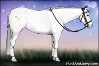 Horse Color:White Spotted Smoky Black Splash Tobiano 