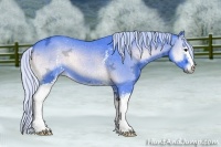 Horse Color:Watercolor White Spotted Silver Blue Onyx Chinchilla Ice Sabino