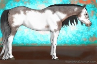 Horse Color:Bay Roan Splash Frame