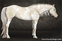 Horse Color:White Spotted Chocolate Palomino Pearl Dun