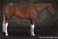 Horse Color:Silver Bay and Bay