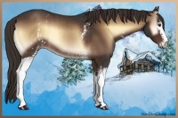 Horse Color:White Spotted Liver Red Onyx Rabicano 