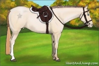Horse Color:Buckskin Pearl 
