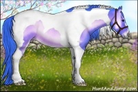 Horse Color:Watercolor Buckskin Onyx Tobiano Rabicano 