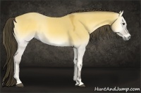 Horse Color:Buckskin Onyx 